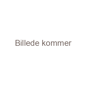 Julespecialiteter