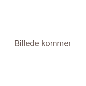 Julespecialiteter