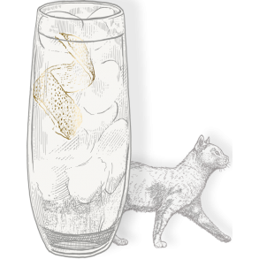 Gin